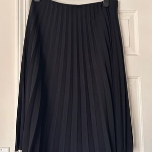 Everlane Black Pleated Midi Skirt